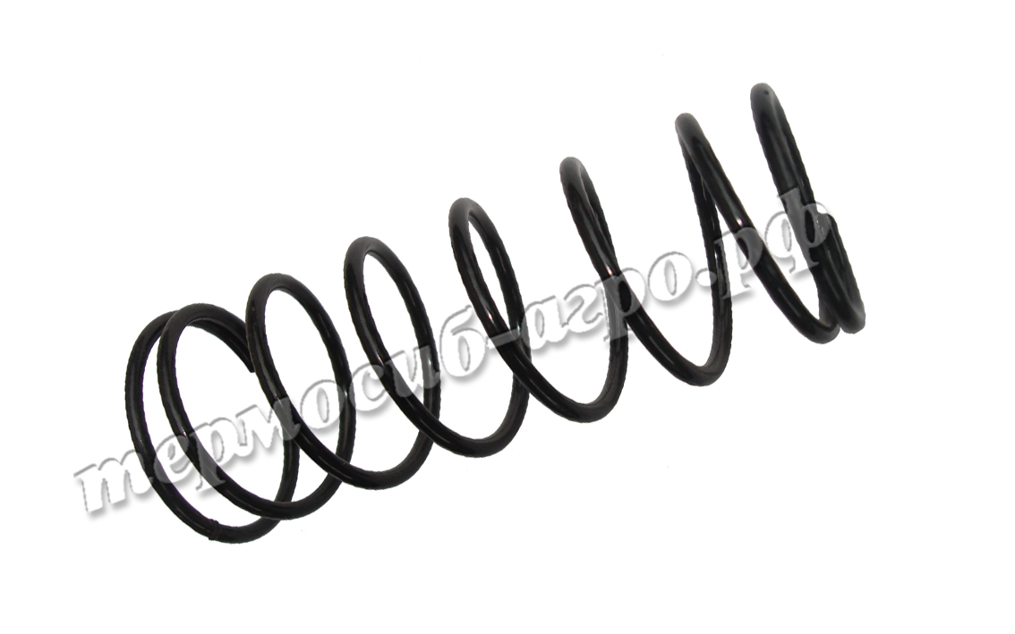 Пружина насоса Г2-ОП*